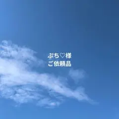 ぷち♡様ご依頼品