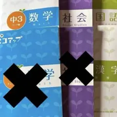 【定価:226,800円❕】中1家庭教師のランナーオリジナル教材/11点セット 2026年最新】家庭教師ランナーの人気アイテム - メルカリ