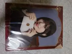 乃木坂46 のぎBOX S賞 賀喜遥香 アクリルフォトパネル モバカセット