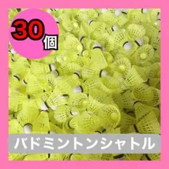 Item thumbnail for item 21e5b30e-29f2-4482-a58d-ccb1715674c3