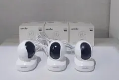 Item thumbnail for item 6ad0f0f7-fccf-43ef-b70a-26ac34236213