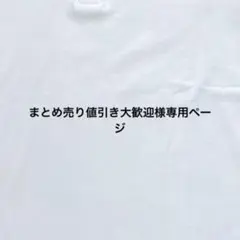 専用ページ