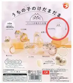 Item thumbnail for item 1b34d40e-f178-4b50-8244-dc53637337d1