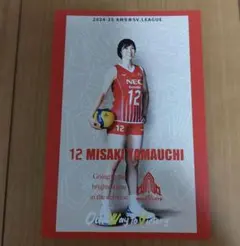 Item thumbnail for item 4f30152d-b6f3-4db5-bfcc-388d6a17a277