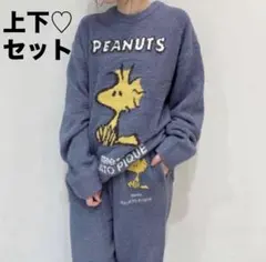 新品 ジェラートピケ ベビモコプルオーバー&ロングパンツ ウッドストック