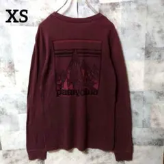 Patagonia XSsize 実寸S～Msize相当 長袖カットソーえんじ色