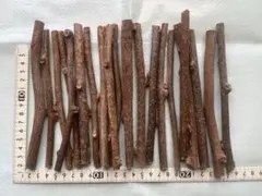 小動物かじり木20本　キウイフルーツ