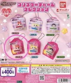 【ブロッサムA】パワーパフガールズブリスターチャーム