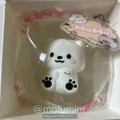 Item thumbnail for item 8639c620-b115-41d6-9c3f-21354fdf3fdc