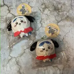 ちいかわ サンリオ ハチワレ ポチャッコ ぷちミニフードマスコット　2個セット