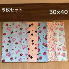 お買い得　ランチョンマット30×40 女の子　５枚セット①