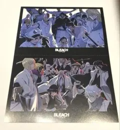 BLEACH 最強ジャンプ1月特大号付録 ポストカード2枚セット