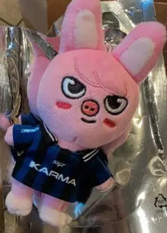 SKZOO ぬいぐるみ チャンビン 2026年最新】SKZOO ぬいぐるみ チャンビンの人気アイテム - メルカリ