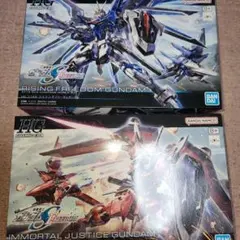 ライジングフリーダムガンダム　イモータルジャスティス　２体セット　未組立