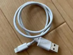 ロジテックUSB-A&Lightning ケーブル