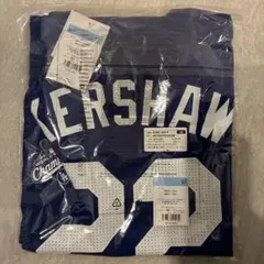 Item thumbnail for item 4113b064-76da-4041-b45e-8f7b0047e7ae