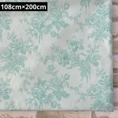 Item thumbnail for item 6cd16d1d-da7f-42bd-bc29-9657c0edb186