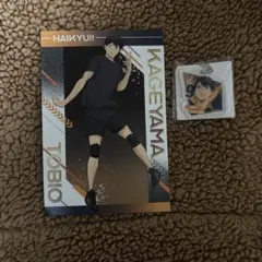 ハイキュー!! 影山飛雄 セット