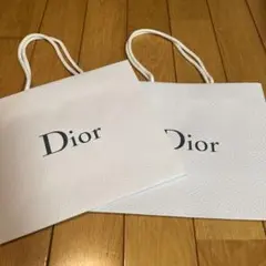 Dior 紙袋2枚セット