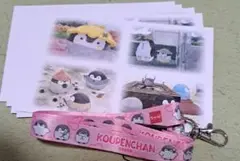 コウペンちゃん 四季折々展2 案内ハガキ　8枚　ネックストラップ