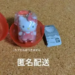 サンリオキャラクターズ　カラフルカラビナマスコットチャーム ハローキティー