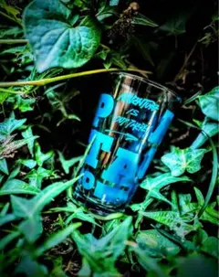 2025年最新】TARP to tarp グラスの人気アイテム - メルカリ