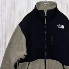 【人気・定番】ザ ノースフェイス デナリジャケット POLARTEC ロゴ刺繍