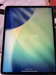 iPad Pro12.9第三世代 256gbWi-Fiモデル　ジャンク　本体のみ