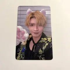 杢代和人 猫なでてトレカ 仮ノ現 - メルカリ