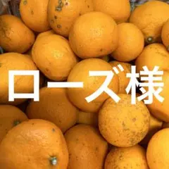 ローズ様【超！訳あり】カラマンダリン 8kg