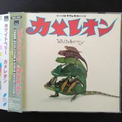 ホワイトベリー　Whiteberry：カメレオン♪　アルバム