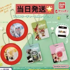 ズートピア ブリスターチャームコレクション　2種