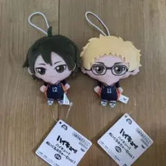 ハイキュー ぬいぐるみちゃーむvol.1 月島蛍 山口忠