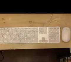 ホワイト 有線キーボードとマウスセット