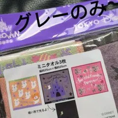 東京ディズニー ハロウィン ミニタオル　グレーのみ