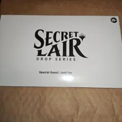 2025年最新】SECRET lair 伊藤潤二の人気アイテム - メルカリ