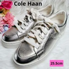 Item thumbnail for item 434d87c7-80a1-4ebb-8e3e-98873713ff23