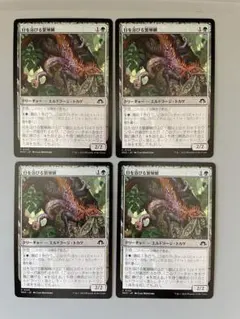 MTG 日を浴びる繁殖鱗　Basking Broodscale 日本語　4枚