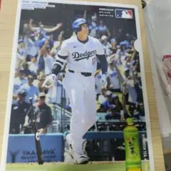 北海道限定】2026北海道日本ハムファイターズA4クリアファイル☆非売品
