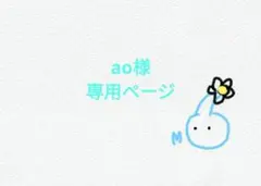 ao様専用ページ　チャッピー、氷