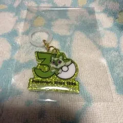ポケモン ニャオハ 30周年 アクリルキーホルダー