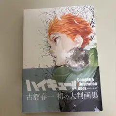 ハイキュー!! Complete Illustration book 終わりと…