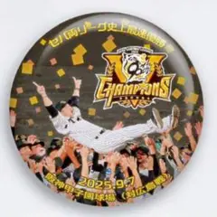 【数量限定完売品】阪神タイガース　リーグ優勝記念　缶マグネット　胴上B