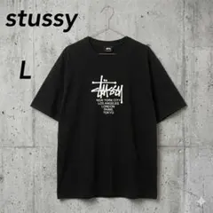 STUSSY ステューシー センターロゴプリント入りTシャツ Lサイズ