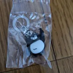 sr様 リクエスト 2点 まとめ商品