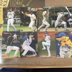 プロ野球チップスカード まとめ売り