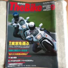 Item thumbnail for item 08ecfe8a-bf10-46b4-b887-bf167bdabda6