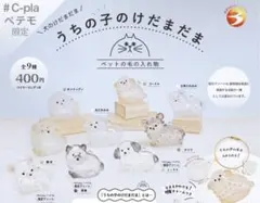 黒柴　うちの子のけだまだま