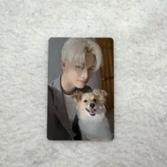 ENHYPEN アンケート特典 ニキ トレカ