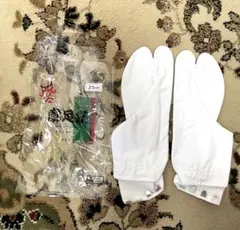 Item thumbnail for item db4305c3-c4b8-4d0f-9604-08a28f1f3daf